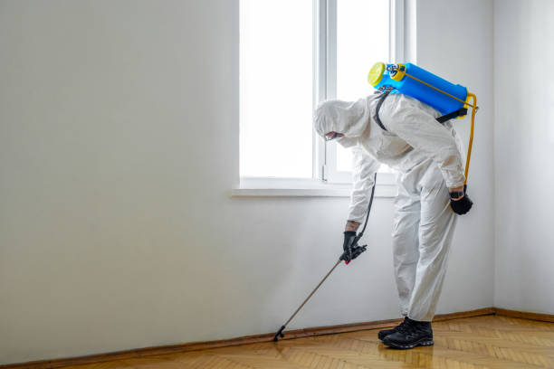 Best Commercial Pest Control Services  in Salamanca, NY