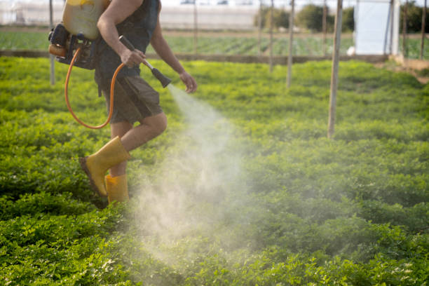 Best Local Pest Control Services  in Salamanca, NY