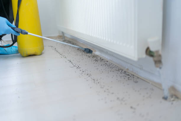 Pest Control for Restaurants in Salamanca, NY